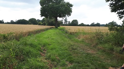 Ashwell 20