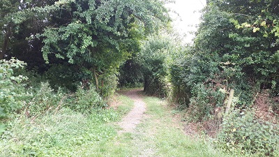 Ashwell 20