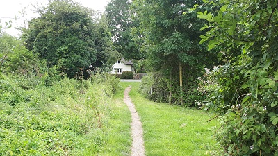 Ashwell 20