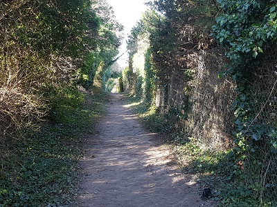 Photograph of Baldock 22