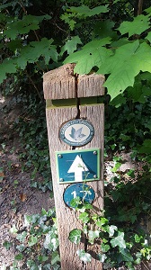 Post at junction with Baldock 39
