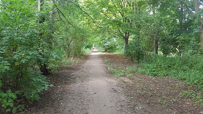 Start of Letchworth 19