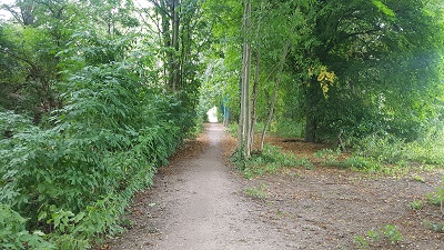 Baldock 39