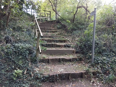 Photograph of Barkway 17