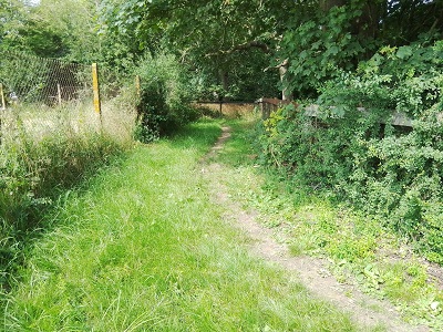 Barkway 18