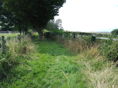 Barkway 18