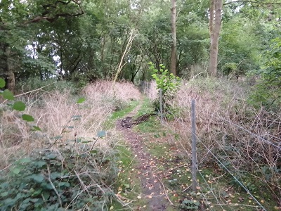 Barkway 27 and Reed 24