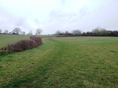 Photograph of Barley 18