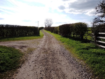 Photograph of Barley UCR1 looking east
