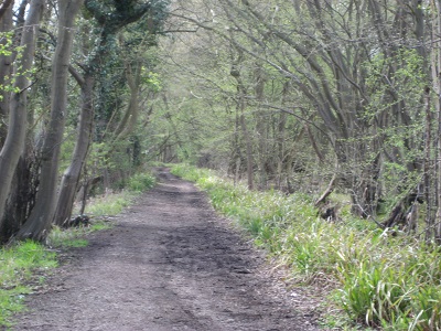 Photograph of Devil's Lane