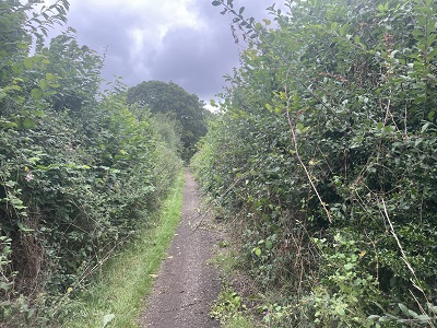 Photograph of Berkhamsted UCR1