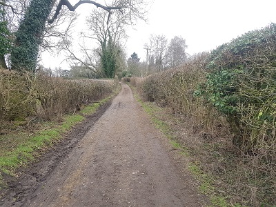 Bovingdon 20 Stoney Lane byway photo