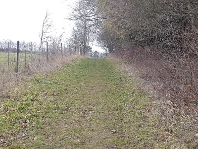 Photograph of Box Moor Trust permissive bridleway in Bovingdon
