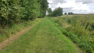 Brent Pelham and Meesden path