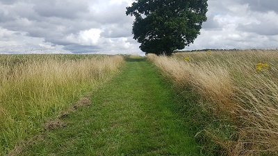 Brent Pelham and Meesden path