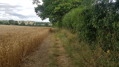 Brent Pelham and Meesden path