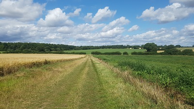 Brent Pelham and Meesden path
