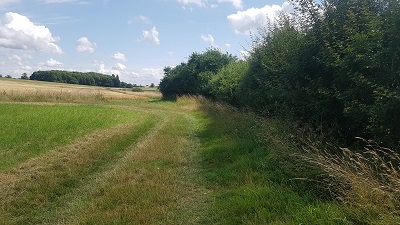 Brent Pelham and Meesden path