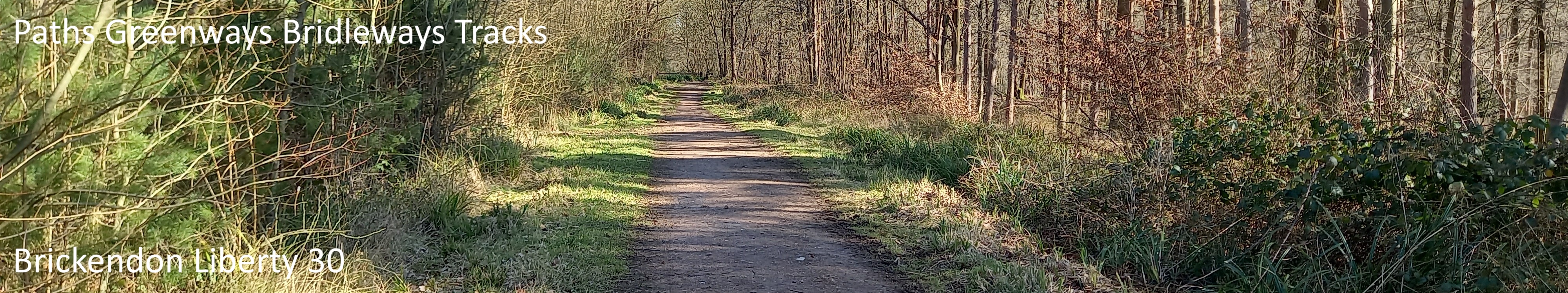 image of Brickendon Liberty 30 bridleway taken in 2025 showing well defined track between woods