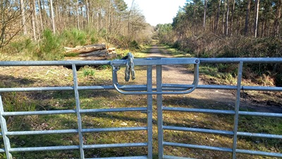 Photograph of Brickendon Liberty 30 bridleway