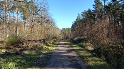 Photograph of Brickendon Liberty 30 bridleway