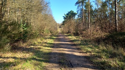 Photograph of Brickendon Liberty 30 bridleway