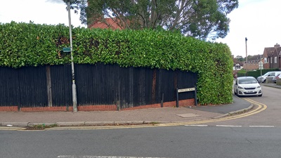 Photo of Buntingford 31