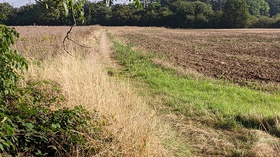 Bushey 36
