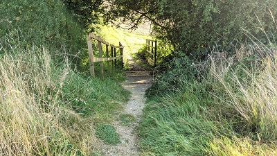 Bushey 36