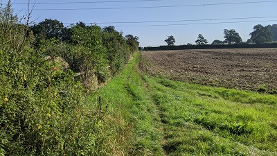 Bushey 36
