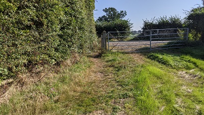 Bushey 36