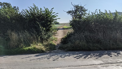 Bushey 38