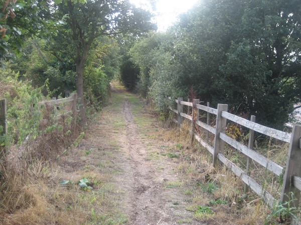 Bushey 51 bridleway