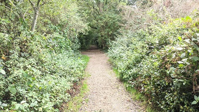 Photograph of Whomsoever Lane, Bushey 52