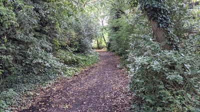 Photograph of Whomsoever Lane, Bushey 52
