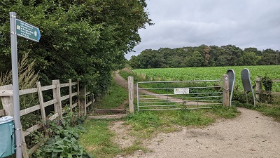 Photograph of Bushey 54
