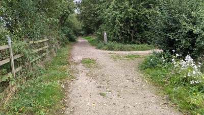 Photograph of Aldenham 76