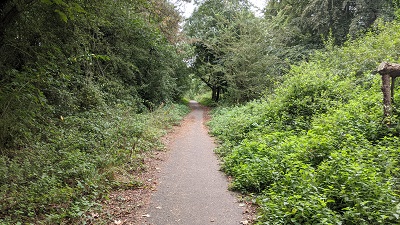 Photograph of Bushey 56