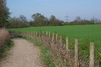 Bushey 68