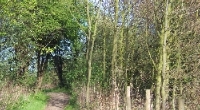 Bushey 68
