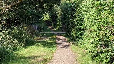 Bushey 68