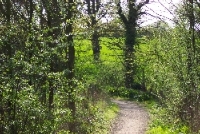 Bushey 68