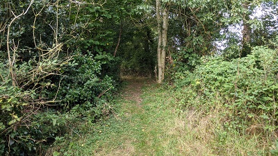 Photograph of Bushey 69
