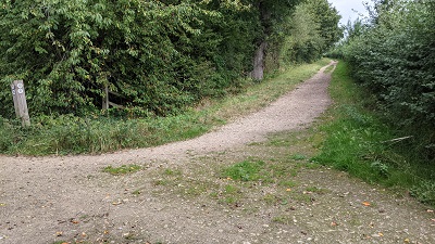 Photograph of Bushey 70