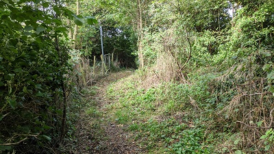 Photograph of Bushey 8