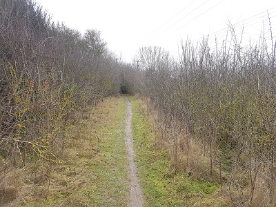 Photgraph of Chalton 10 byway