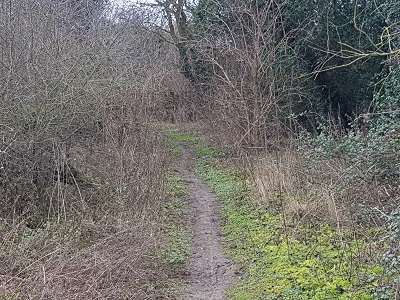 Photgraph of Chalton 10 byway