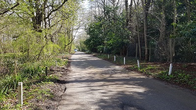 Cheshunt 74