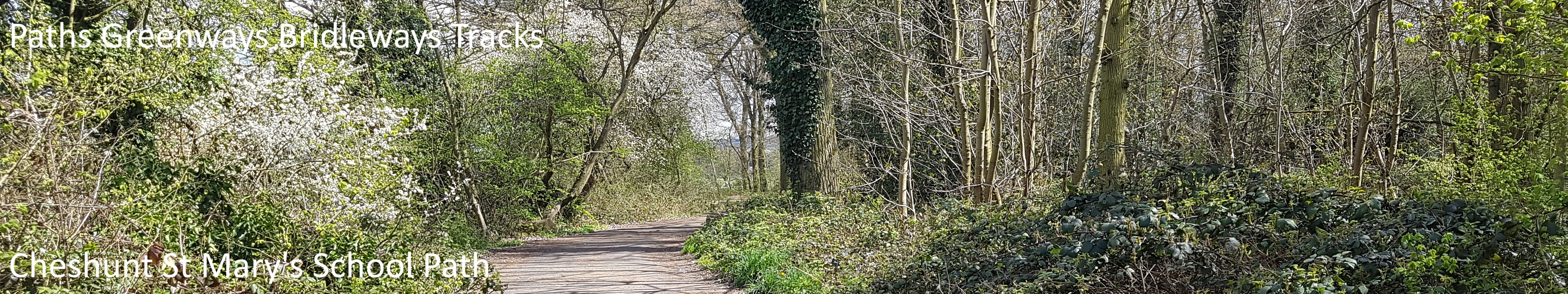 image of St Mary's School bridleway taken in 2021 showing path between woods