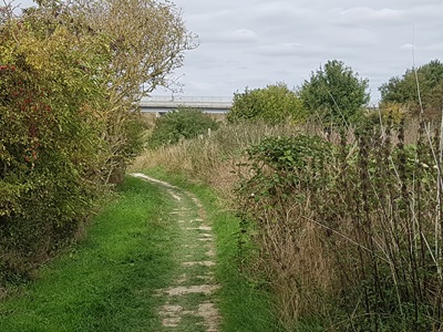 Photo of Clothall 3 bridleway